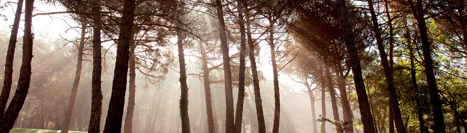 Golf Montany&agrave;